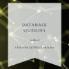 CUSTOM DATABASE QUERY: 3HOURS